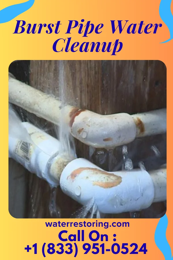 Burst Pipe Water Cleanup in Mitchellville, MD