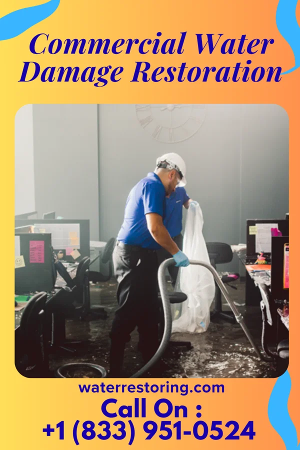Commercial Water Damage Restoration in Mitchellville, MD