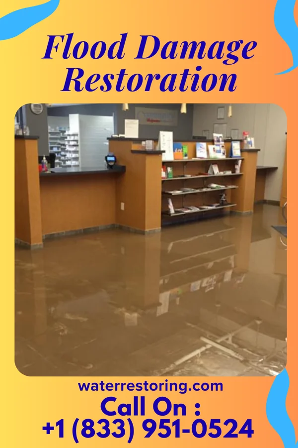 Flood Damage Restoration in Mitchellville, MD