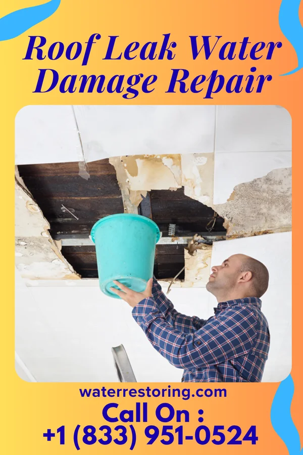 Roof Leak Water Damage Repair in Mitchellville, MD