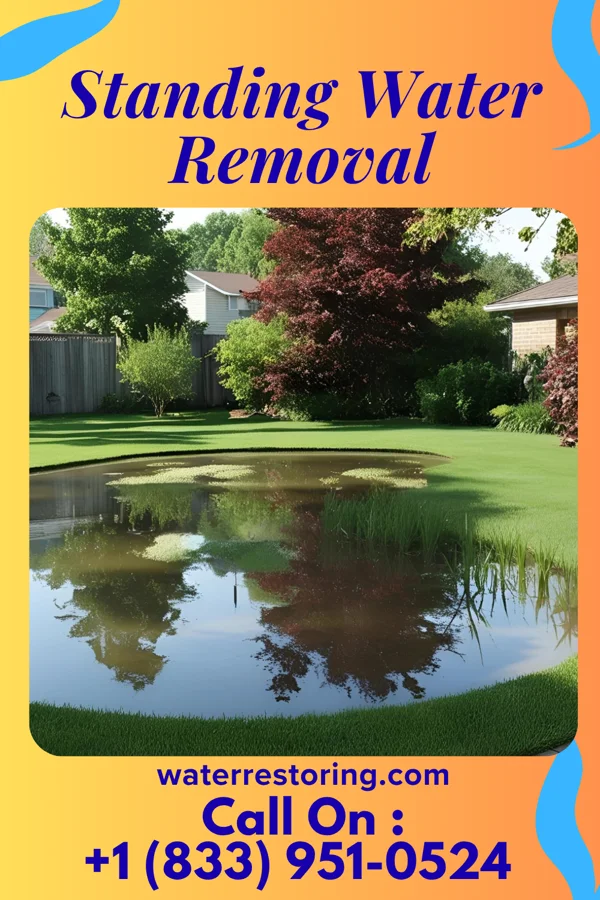 Standing Water Removal in Mitchellville, MD